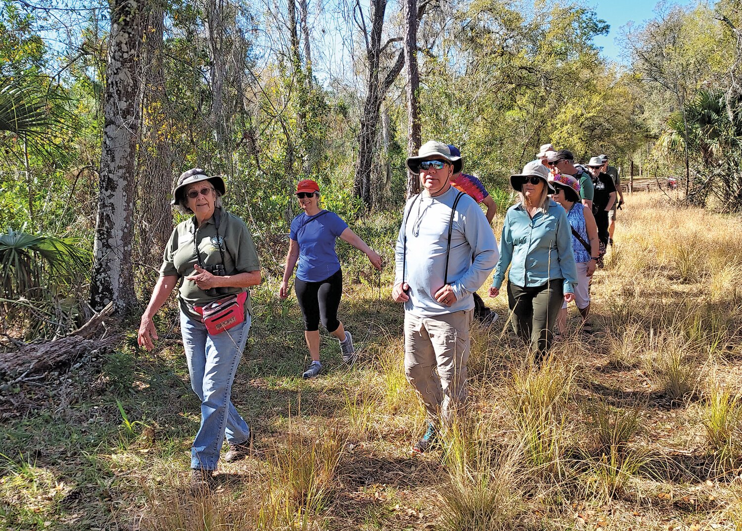 Volunteer Marilyn Blair leads a group to the Tiger Branch area of the park on a scrub walk where Florida scrub-jays may be sighted.
